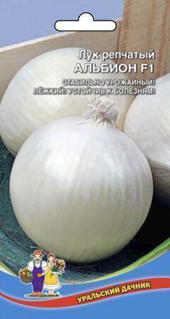 Купить оптом в Ботанике семена Лук репчатый Альбион F1 УД бренд Уральский дачник