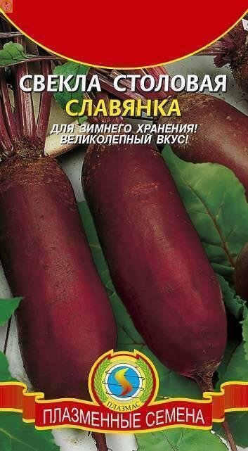 Купить оптом в Ботанике семена Свекла Славянка Плз бренд Плазмас