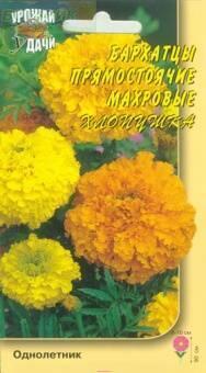 Купить оптом в Ботанике семена Бархатцы Хлопушка смесь УУ бренд Урожай Удачи