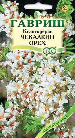 Купить оптом в Ботанике семена Ксантоцерас Чекалкин Орех Гав бренд Гавриш