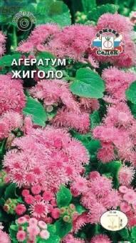 Купить оптом в Ботанике семена Агератум Жиголо Сед бренд СеДеК