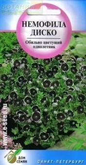 Купить оптом в Ботанике семена Немофила Диско ССО  бренд Сортсемовощ