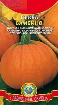 Купить оптом в Ботанике семена Тыква Бамбино Плз бренд Плазмас