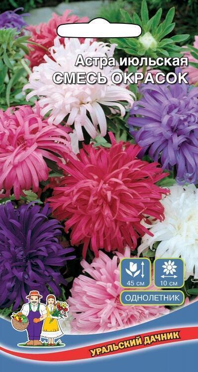 Купить оптом в Ботанике семена Астра Июльская смесь окрасок УД бренд Уральский дачник