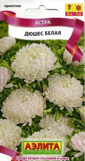 Купить оптом в Ботанике семена Астра Дюшес белая Аэл бренд Аэлита