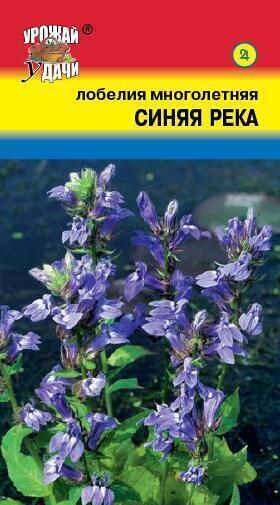 Купить оптом в Ботанике семена Лобелия Синяя река УУ бренд Урожай Удачи