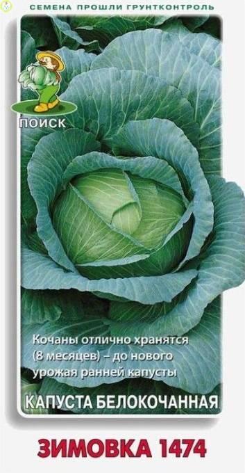 Купить оптом в Ботанике семена Капуста белокочанная Зимовка 1474 Поиск бренд Поиск
