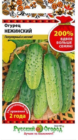 Купить оптом в Ботанике семена Огурец Нежинский 200% НК бренд НК