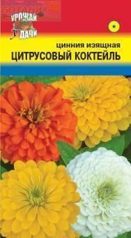 Купить оптом в Ботанике семена Цинния Цитрусовый коктель УУ бренд Урожай Удачи