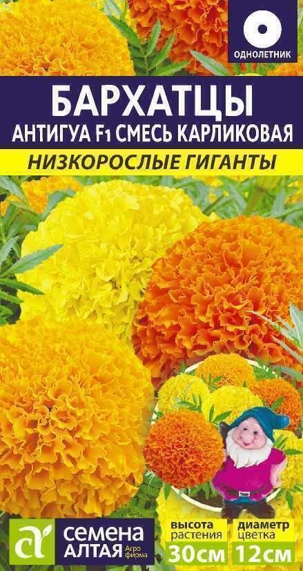 Купить оптом в Ботанике семена Бархатцы Антигуа Смесь карликовая СА бренд Семена Алтая