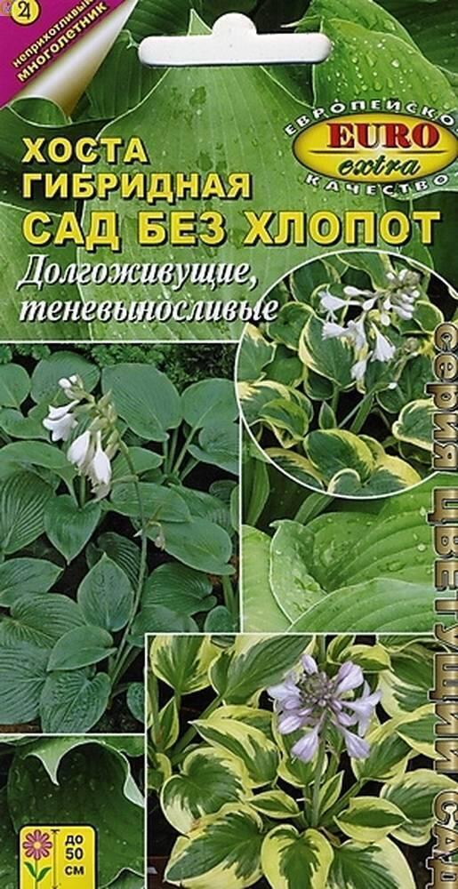 Купить оптом в Ботанике семена Хоста Смесь Аэл бренд Аэлита