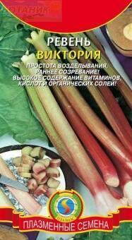 Купить оптом в Ботанике семена Ревень Виктория Плз бренд Плазмас