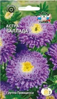 Купить оптом в Ботанике семена Астра Баллада Сед бренд СеДеК