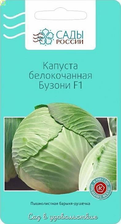 Купить оптом в Ботанике семена Капуста белокочанная Бузони F1 СиО бренд Сад и огород
