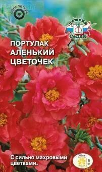 Купить оптом в Ботанике семена Портулак Аленький цветочек Сед бренд СеДеК