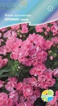 Купить оптом в Ботанике семена Флокс Промис пинк Акв бренд Акварель