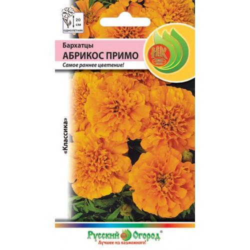 Купить оптом в Ботанике семена Бархатцы Абрикос Примо НК бренд НК