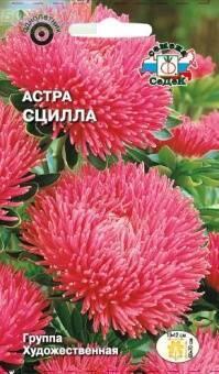 Купить оптом в Ботанике семена Астра Сцилла Сед бренд СеДеК