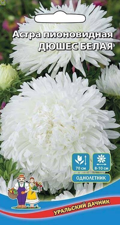 Купить оптом в Ботанике семена Астра Дюшес Белая пионовидная УД бренд Уральский дачник, Марс