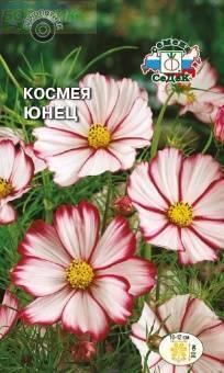 Купить оптом в Ботанике семена Космея Юнец Сед бренд СеДеК