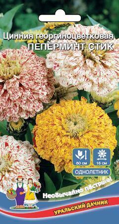 Купить оптом в Ботанике семена Цинния Пеперминт стик УД бренд Уральский дачник