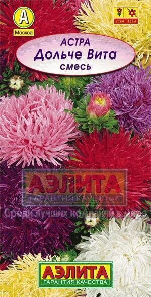 Купить оптом в Ботанике семена Астра Дольче Вита Аэл бренд Аэлита