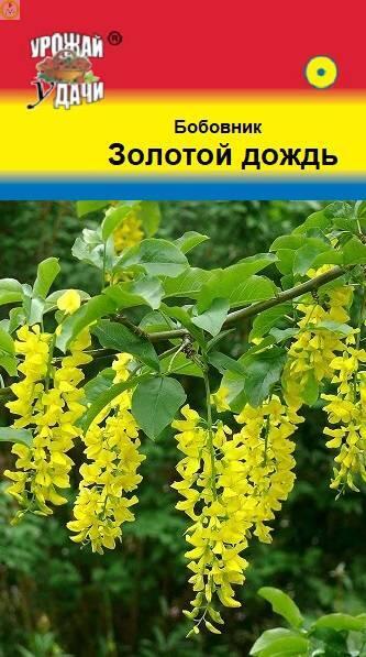 Купить оптом в Ботанике семена Бобовник Золотой дождь УУ бренд Урожай Удачи