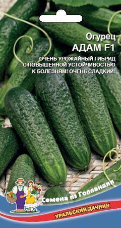 Купить оптом в Ботанике семена Огурец Адам F1 УД бренд Уральский дачник