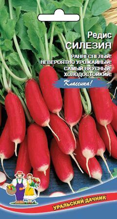 Купить оптом в Ботанике семена Редис Силезия УД бренд Уральский дачник