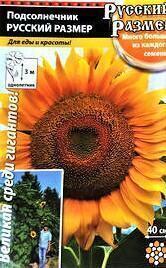 Купить оптом в Ботанике семена Подсолнечник Русский размер НК бренд НК