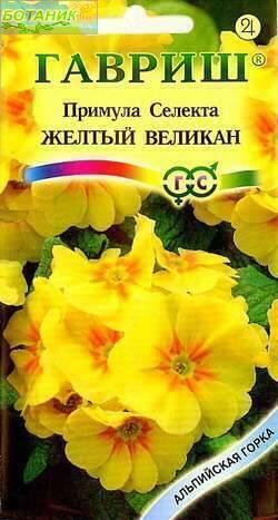 Купить оптом в Ботанике семена Примула Селекта Жёлтый великан Гав бренд Гавриш