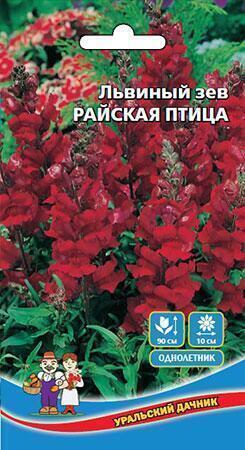 Купить оптом в Ботанике семена Львиный зев Райская птица УД бренд Уральский дачник
