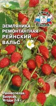 Купить оптом в Ботанике семена Земляника Рейнский вальс Сед бренд СеДеК