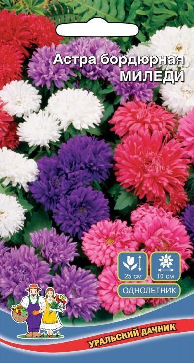 Купить оптом в Ботанике семена Астра Миледи бордюрная УД бренд Уральский дачник