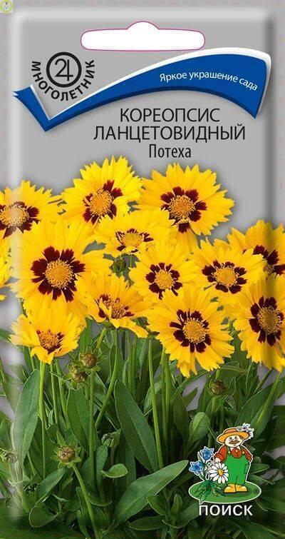 Купить оптом в Ботанике семена Кореопсис Потеха ланцетовидный Поиск бренд Поиск