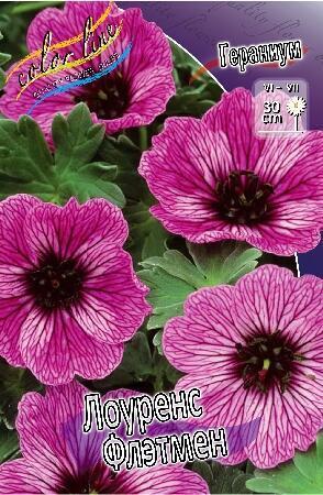 Купить оптом в Ботанике Гераниум Лоуренс Флэтмен 1 шт