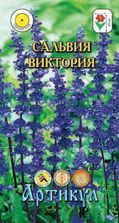 Купить оптом в Ботанике семена Сальвия Виктория шалфей мучнистый Арт бренд Артикул