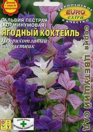 Купить оптом в Ботанике семена Сальвия Ягодный коктейль пестрая Аэл бренд Аэлита
