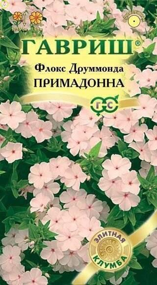 Купить оптом в Ботанике семена Флокс Примадонна друммонда Гав бренд Гавриш