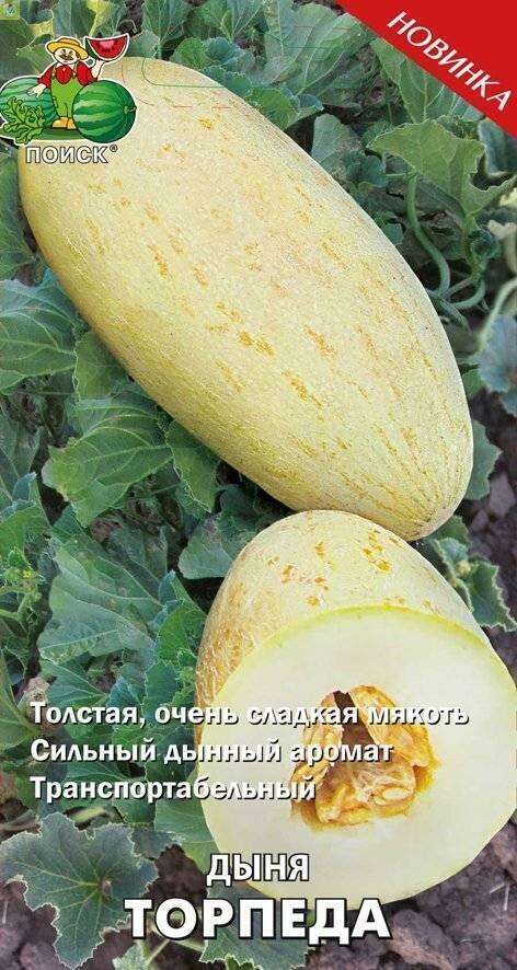Купить оптом в Ботанике семена Дыня Торпеда Поиск бренд Поиск