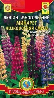 Купить оптом в Ботанике семена Люпин Минарет Плз бренд Плазмас