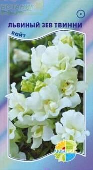 Купить оптом в Ботанике семена Львиный зев Твинни вайт Акв бренд Акварель