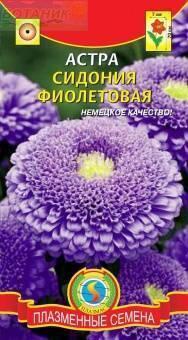 Купить оптом в Ботанике семена Астра Сидония фиолетовая Плз бренд Плазмас