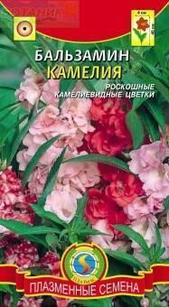 Купить оптом в Ботанике семена Бальзамин Камелия Плз бренд Плазмас