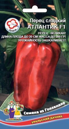 Купить оптом в Ботанике семена Перец Атлантик F1 УД бренд Уральский дачник