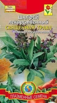 Купить оптом в Ботанике семена Шалфей Целебная трава Плз бренд Плазмас