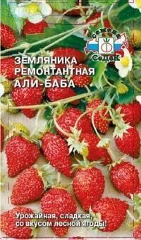 Купить оптом в Ботанике семена Земляника Али-Баба Сед бренд СеДеК