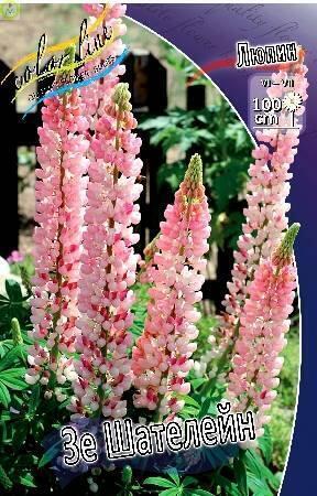 Купить оптом в Ботанике Люпин Зе Шателейн 50шт