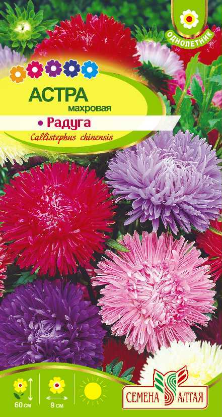 Купить оптом в Ботанике семена Астра Радуга смесь СА бренд Семена Алтая