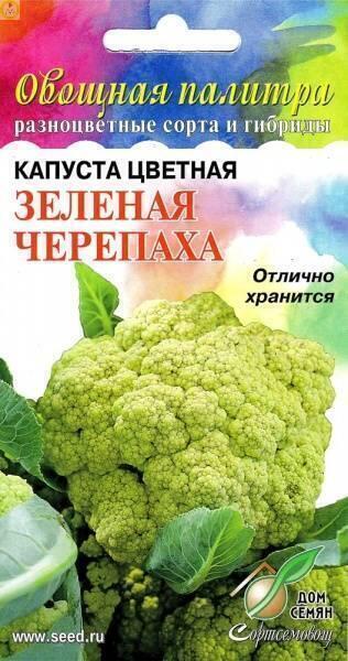 Купить оптом в Ботанике семена Капуста цветная Зелёная Черепаха ССО бренд Сортсемовощ